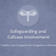 Safeguarding and Cafcass involvement in family court proceedings for litigants in person