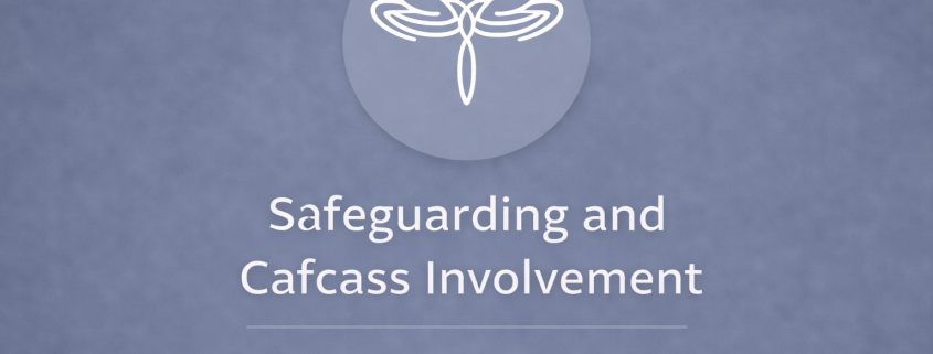 Safeguarding and Cafcass involvement in family court proceedings for litigants in person
