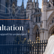 JSH Law Consultation Banner Jessica Susan Hill beside the JSH Law dragonfly logo and the words Book a Consultation, with the Royal Courts of Justice in the background.